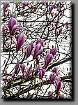 a_DSC5271b.jpg