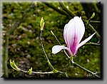 a_DSC5274b.jpg