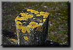 a_DSC5294b.jpg
