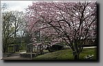 a_DSC5356b.jpg