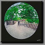 aDSC_0313-bewerkt.jpg