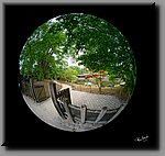 aDSC_0314-bewerkt.jpg