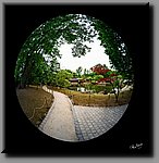 aDSC_0315-bewerkt.jpg