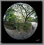 aDSC_0317-bewerkt.jpg