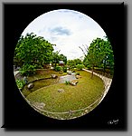 aDSC_0327-bewerkt.jpg