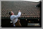 a_DSC3513b.JPG