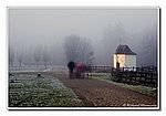 DSC_7060bck.JPG