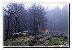 DSC_7064bck.JPG