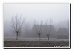 DSC_7074bck.JPG