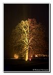 DSC_7117bck.JPG