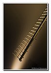 DSC_7141bck.JPG