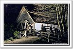 DSC_7165bck.JPG