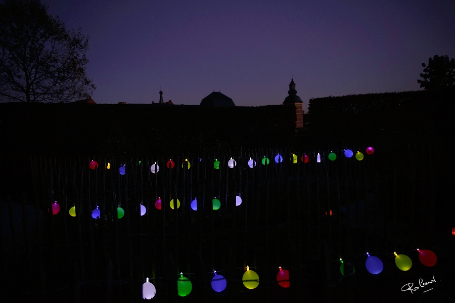 a_DSC7421b.JPG