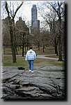 any2350331.jpg