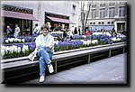 any2350349.jpg