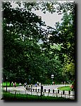 aVDSCF0438b.jpg