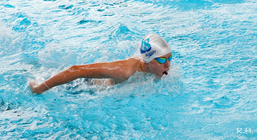 aDSC_0913b.JPG