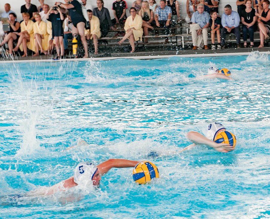 aDSC_0915b.JPG