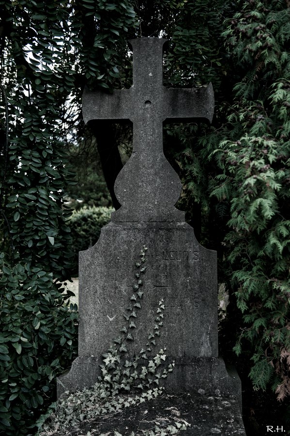 aDSC_8317b.JPG