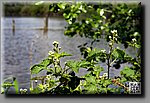 a_DSC5874_DxOb.jpg
