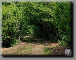 a_DSC5904_DxOb.jpg
