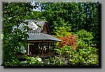 a_DSC0824b.JPG