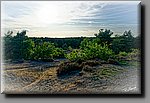 a_DSC0867_DxObb.jpg