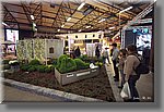 bDSCF1097b.JPG
