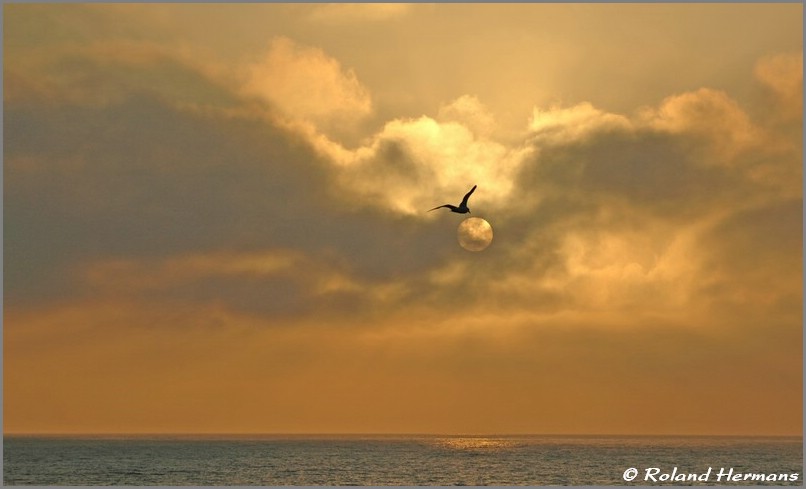 DSC_0727b.jpg (49,0 KB)