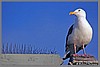 DSC_0689b.jpg(68,9 KB)