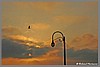DSC_0732c.jpg(47,6 KB)