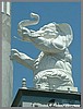 vDSC_0806.jpg(57,4 KB)