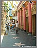 vDSC_0808.jpg(103 KB)