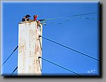 aDSC_5719bb.jpg